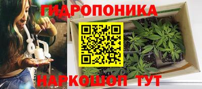 каннабис Канаш