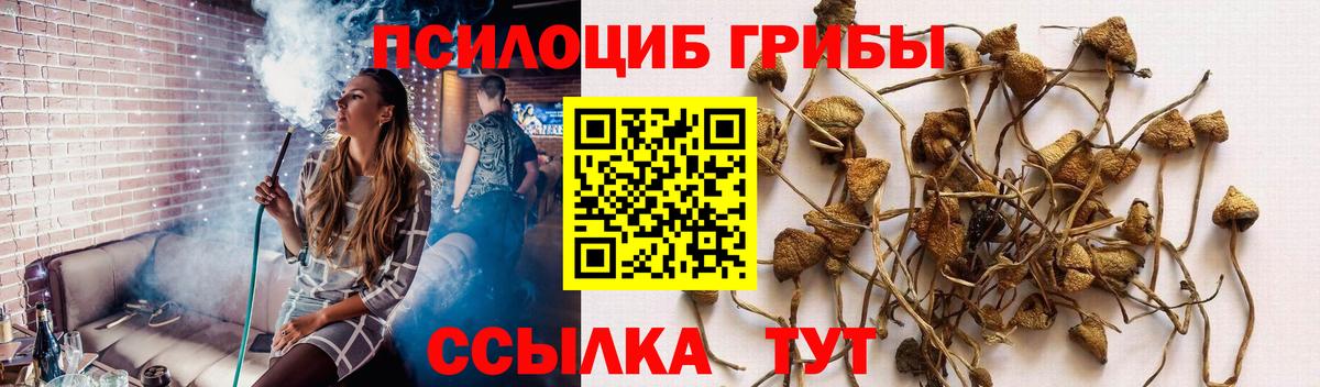 Галлюциногенные грибы Psilocybe  Псилоцибиновые грибы MAGIC MUSHROOMS  Вход с VPN  Нижнекамск 